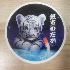 4/27　初開催‼️上州mgめだか祭🌈 - その他