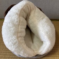 ペットベット　猫　小型犬の画像