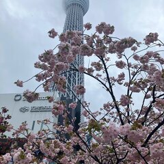 友達募集中です！！