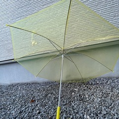子供用　傘　　の画像
