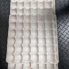 紙卵パック　爬虫類