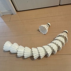 ヨネックス　バドミントン　シャトルの画像