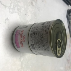 ドックフード