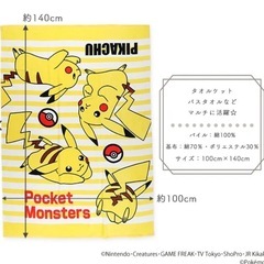 保育園 お昼寝セット ポケモン ピカチュウの画像
