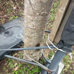 岩手　滝沢　バスケットボール バスケットゴール 屋外 バスケ ゴール 家庭用 ゴール ミニバス 一般 AxiSkill  A505の画像