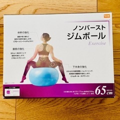 DCM ジムボール