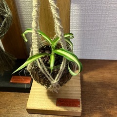 ハンドメイド　プラントハンガー1組セットの画像