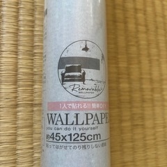 貼って剥せる壁紙(グリーン)新品
の画像