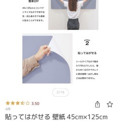 貼って剥せる壁紙(グリーン)新品
の画像