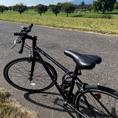 21Technology 自転車 クロスバイク CL266 700x28cタイヤ シマノ製6段変速ギヤ レボシフター フラットハンドルバー 前後キャリパーブレーキの画像