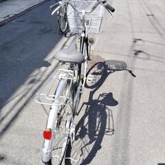 ツートンカラーパパチャリの画像