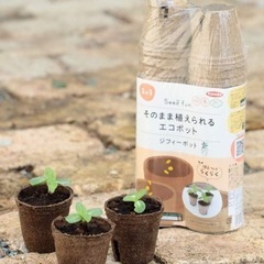11パックセット　サカタのタネ そのまま植えられるエコポット ジフィーポット 丸型8cm×30個入 8cmの画像