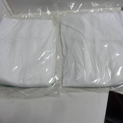 ★未使用★　アズセーフ　SMS　つなぎ服　防護服　防疫清掃　Lサイズ　1枚入り1袋　10個SET　草刈り　管理清掃に　ダニ　毛虫　薮蚊　害虫　防疫の画像