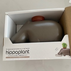 聖新陶芸 hippoplant ヒポポプラント アップルミント バジル GD-982【栽培セット 食べられる 瀬戸焼 カバ ハーブ スタイリッシュ インテリア おしゃれ プレゼント ギフト 育てる 植物】の画像