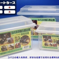 ❣️コバエ防止ケース中サイズ　　　コバエシャッター　クワガタ　虫かご（定価1個1420円 Amazon）の画像