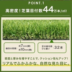 人工芝
の画像