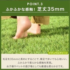 人工芝
の画像