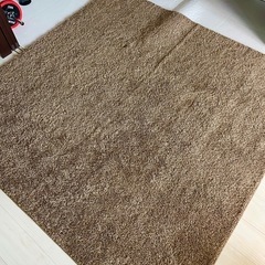 ニトリNクリーンウォッシュBE　