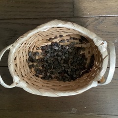 あさがおのタネ