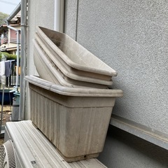 鉢の画像