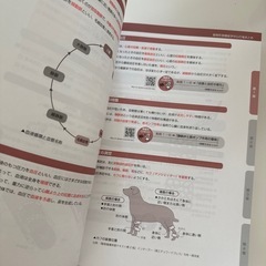 愛玩動物看護師 国試対策の画像