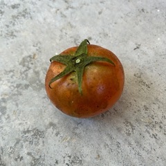 野菜　トマト【訳あり】⑨の画像