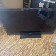 テレビ