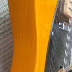 SQUIER  Affinity Tele Butterscotch Blondeの画像