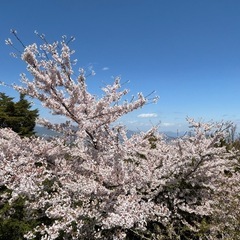 5/18(日)宮島弥山登山＆ごみ拾い - 廿日市市