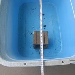 たらい 金魚飼育に使用