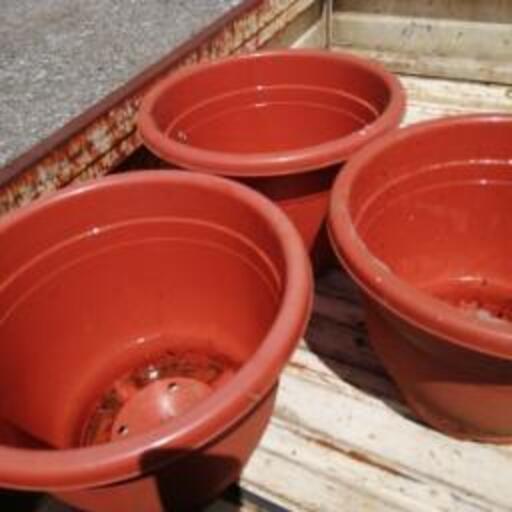 植木鉢大型12号3個未使用450円 (おっさん) 八街のその他の