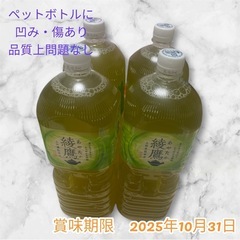 【TIME SALE】2L綾鷹 4本セット