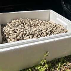 アクアリウム　濾過材の画像