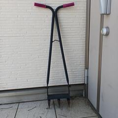 コーンスパイク　芝生