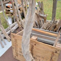 SEASIDEinterior★インテリアディスプレイに流木 Cool driftwood for decorating 145の画像