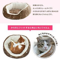 【最終値下げ】ペットベッド 猫 猫用 ツインクルキャット オーバル ふんわり気持ちいい フランネル生地 お手入れがラク 中敷きの座布団は取り外しできる 手洗い可の画像