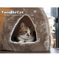 【最終値下げ】ペットベッド 未使用 猫 猫用 ツインクルキャット テント ふんわり気持ちいい フランネル生地 お手入れがラク 中敷きの座布団は取り外しできる 手洗い可の画像