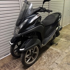 トリシティ　専用