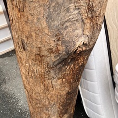 マルタ 丸太の画像