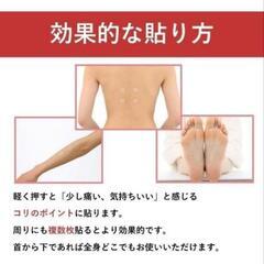 【早いもの勝ち】ピップ エレキバンMAX200 24粒入の画像