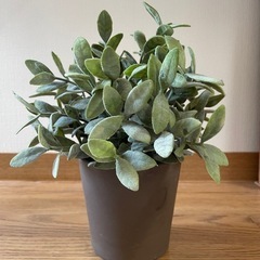 [IKEA購入]人工観葉植物