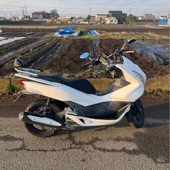 HONDA PCX 125cc  バイク 大幅値下げの画像
