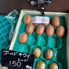 【在庫9】とっても美味しいあしがらのグリーンキウイ☆