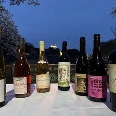 飲み、ワイン好きぼしゅー