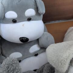 ぬいぐるみの画像