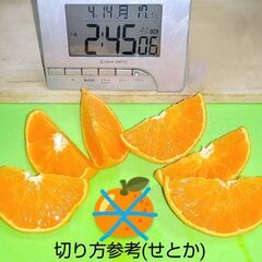 愛媛県産訳あり(キズ)🍊 せとか＋不知火各3個 (小～中玉サイズ)の画像