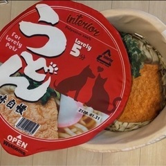 カップ麺うどんベッド 犬 猫 ペットベッド 蓋　クッション付きの画像