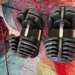 可変式ダンベル　40kg  筋トレ 