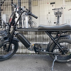 
BRONX BUGGY