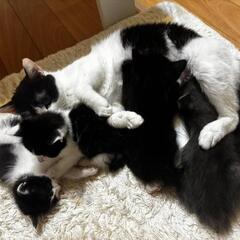 すべて男の子🐈‍⬛⸒⸒⸒⸒🐾❤︎